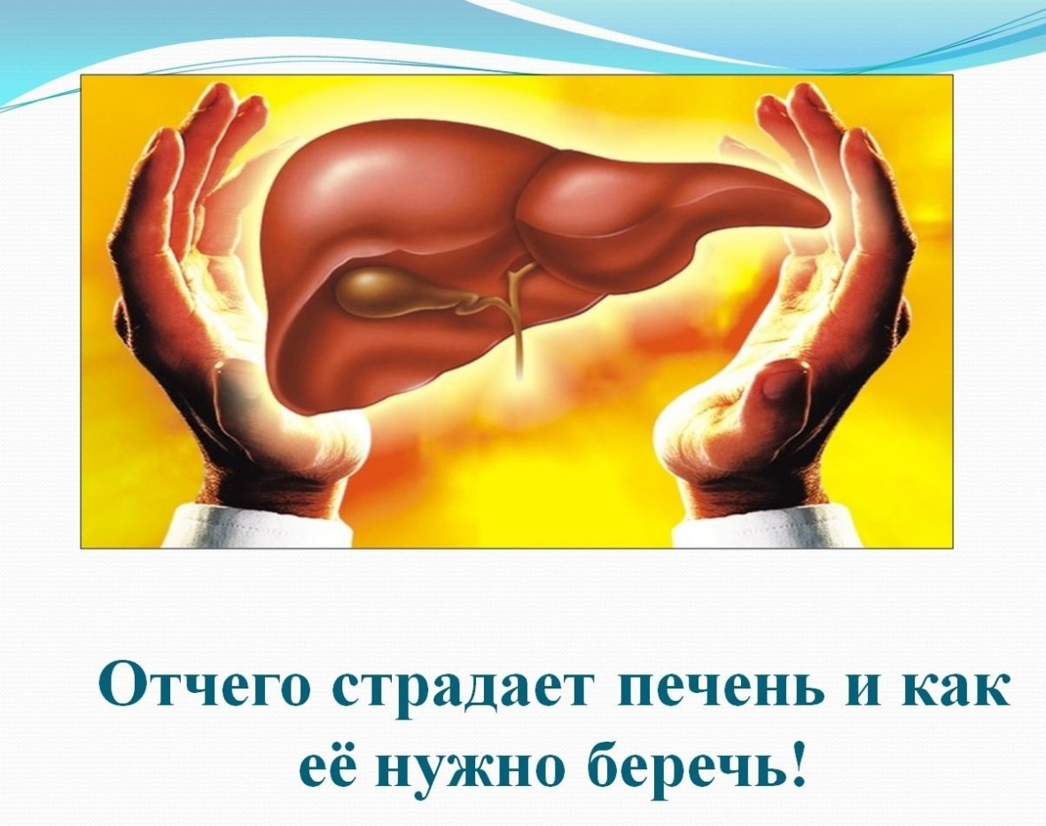 Берегите здоровье: «Одна жизнь, одна печень»