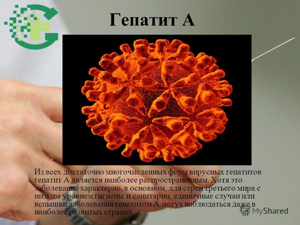 Мойте руки перед едой или как не встретиться с гепатитом А