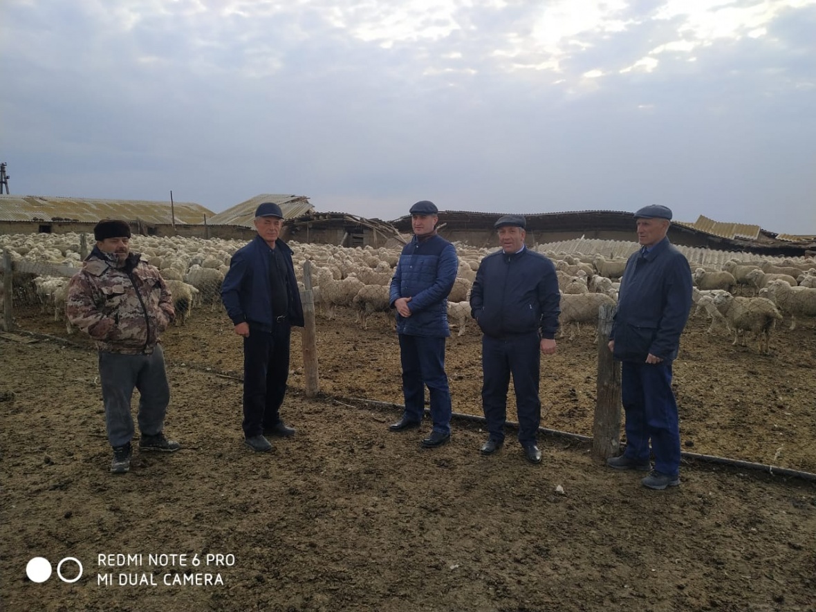 Глава района посетил прикутанные хозяйства района